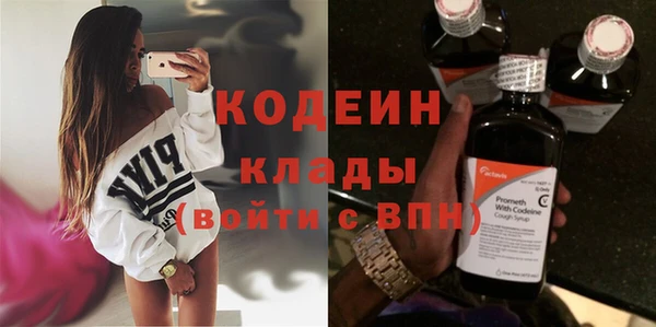 шишки Инсар