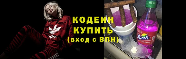 крисы Киренск