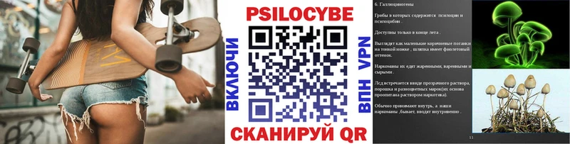 где купить Краснослободск Галлюциногенные грибы Psilocybine cubensis